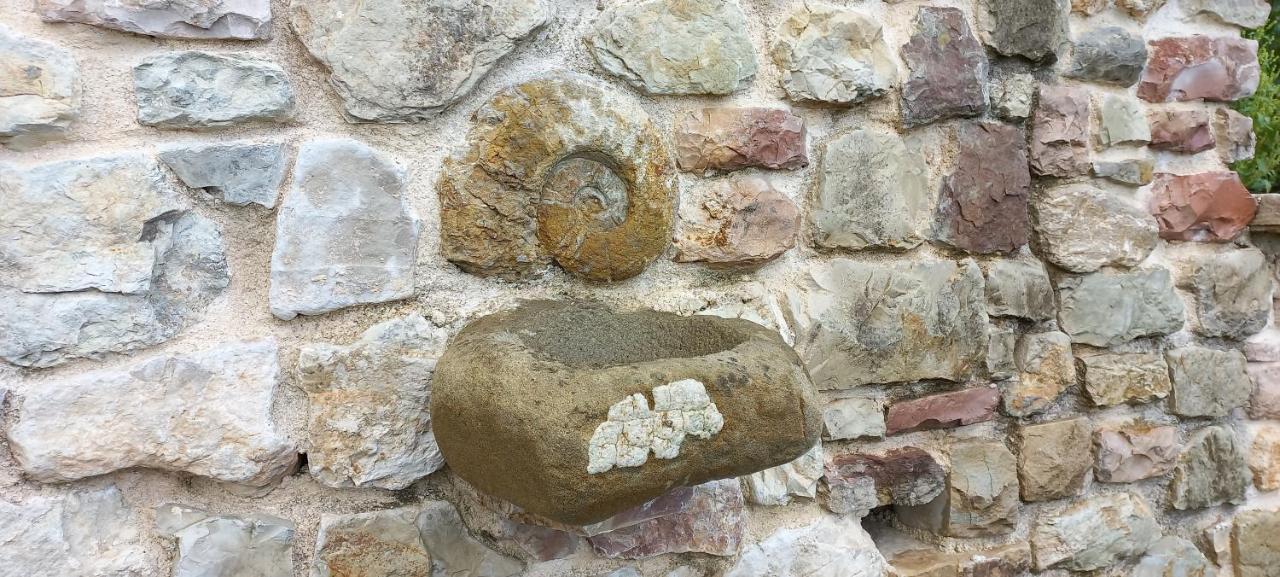 Domus Antiqua Bed & Breakfast Spello Exterior foto