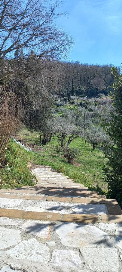 Domus Antiqua Bed & Breakfast Spello Exterior foto