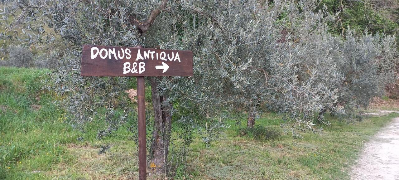 Domus Antiqua Bed & Breakfast Spello Exterior foto
