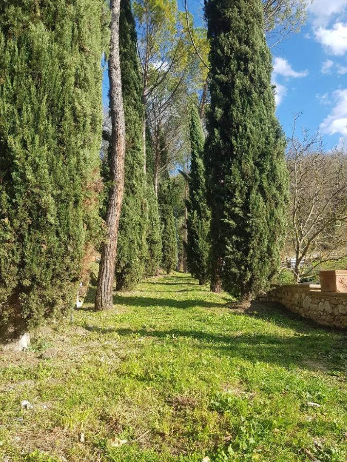 Domus Antiqua Bed & Breakfast Spello Exterior foto